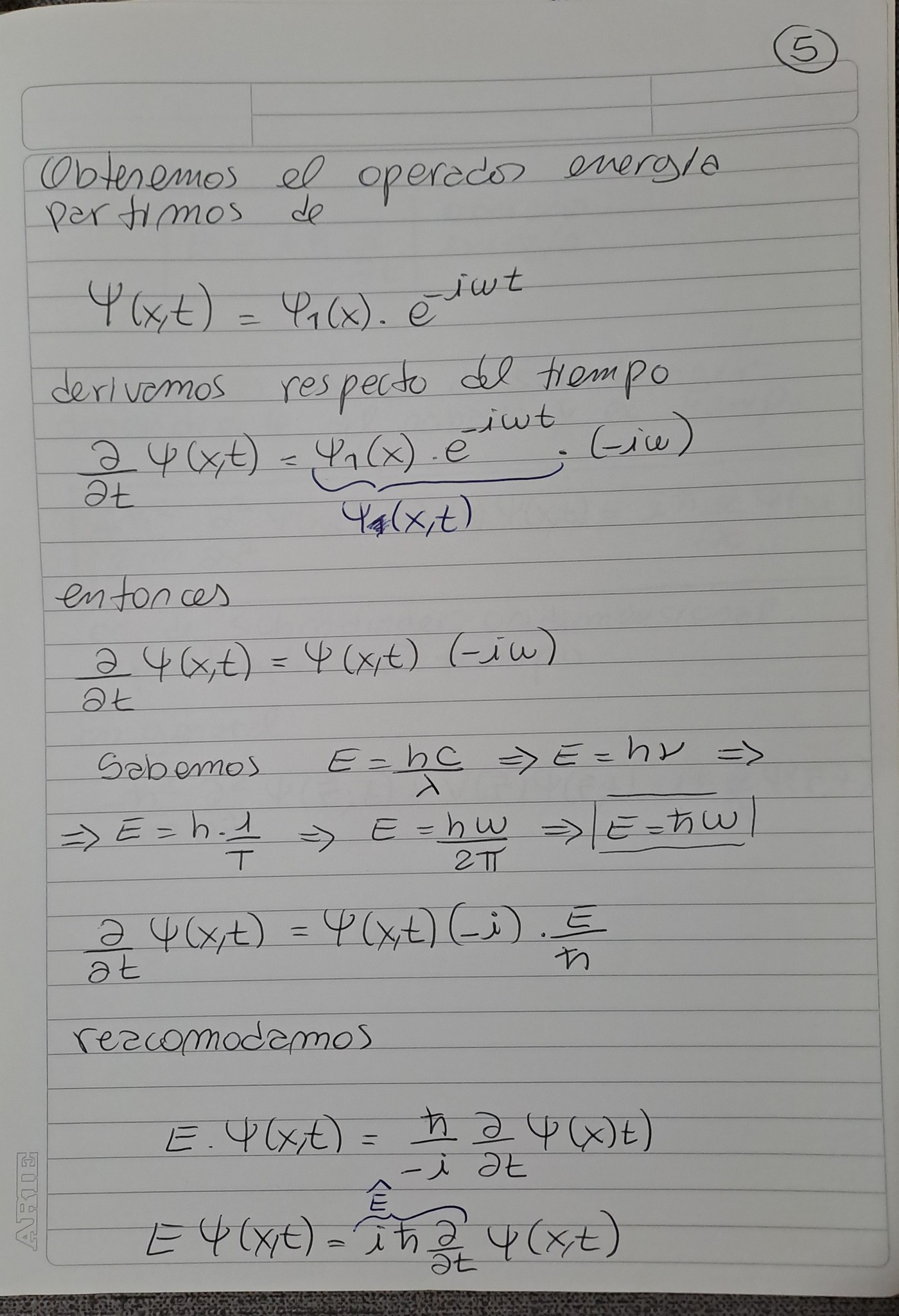 Nota 5