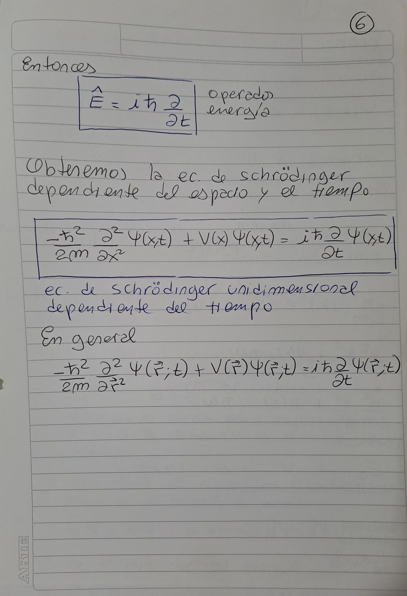 Nota 6