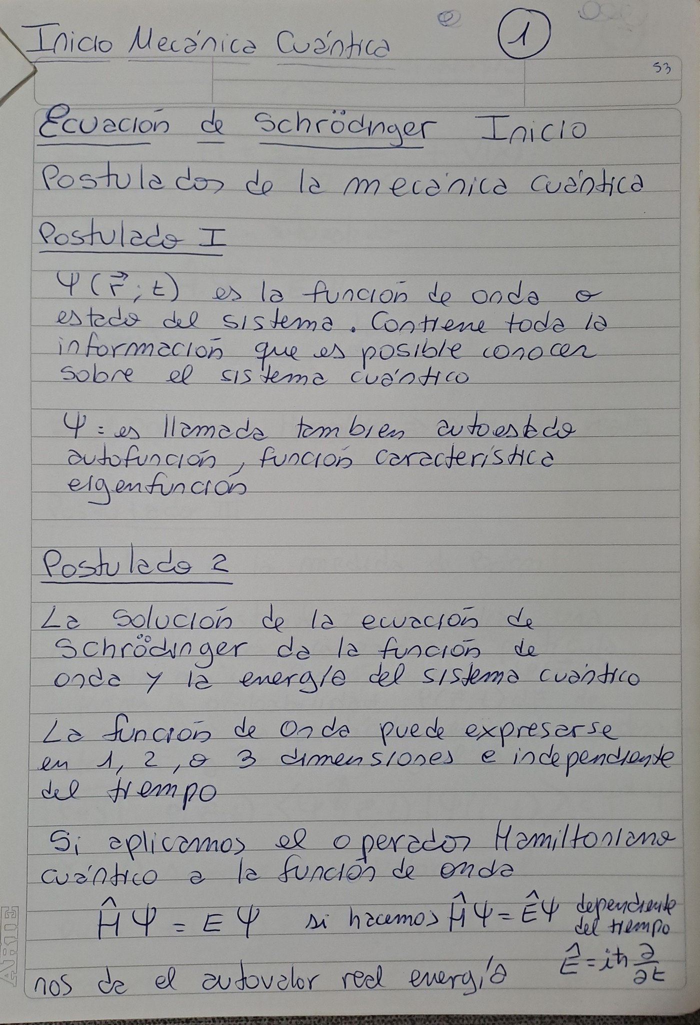 Nota 7